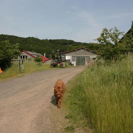 Rech Hof Urlaub Auf Dem Bauernhof Apartment Schalkenbach Bagian luar foto