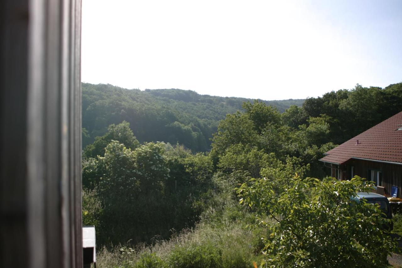 Rech Hof Urlaub Auf Dem Bauernhof Apartment Schalkenbach Bagian luar foto
