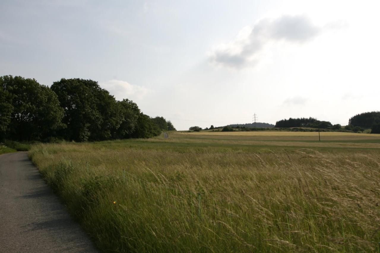 Rech Hof Urlaub Auf Dem Bauernhof Apartment Schalkenbach Bagian luar foto