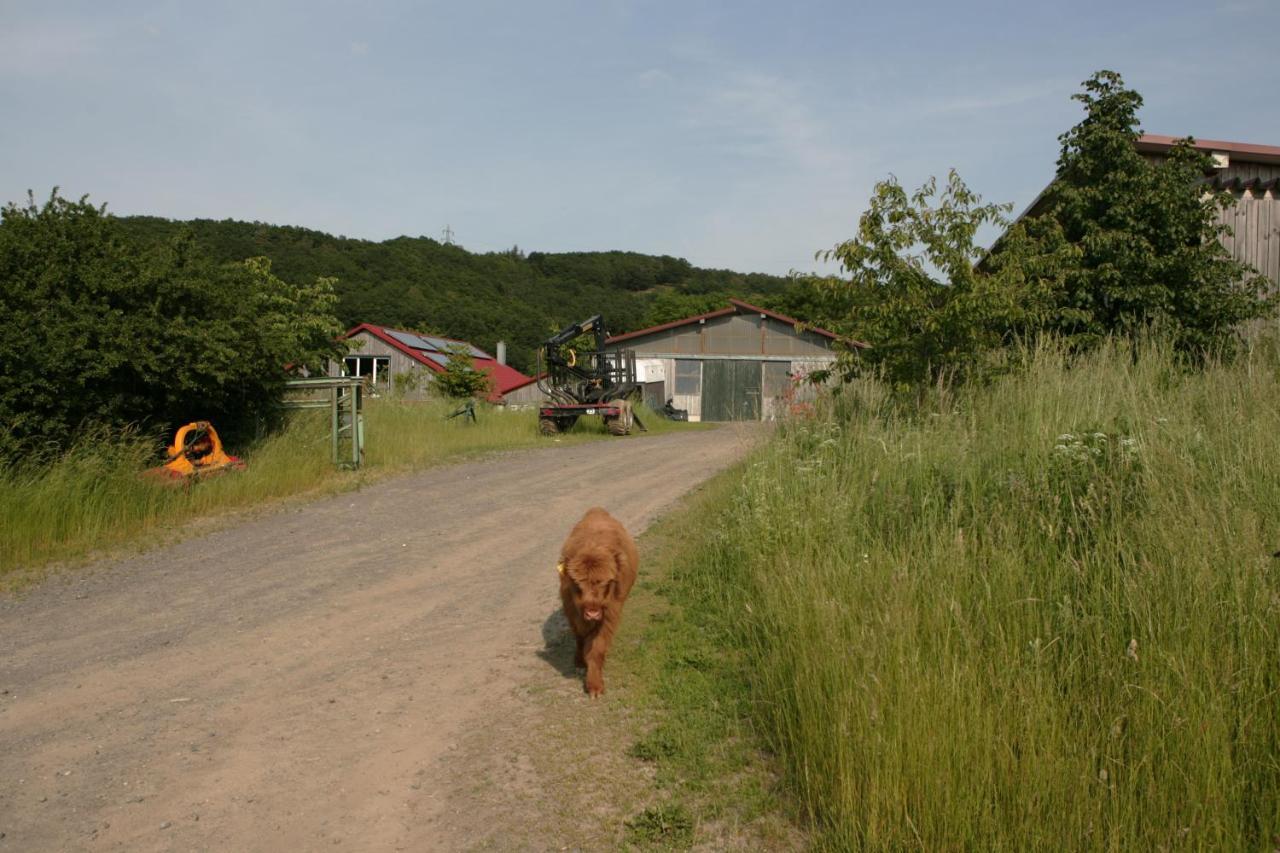 Rech Hof Urlaub Auf Dem Bauernhof Apartment Schalkenbach Bagian luar foto